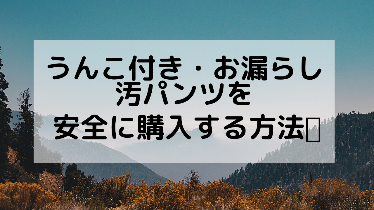 うんこ付き・お漏らし汚パンツを安全に購入する方法